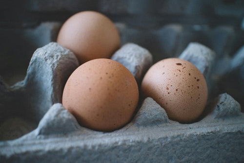 Fresh Eggs