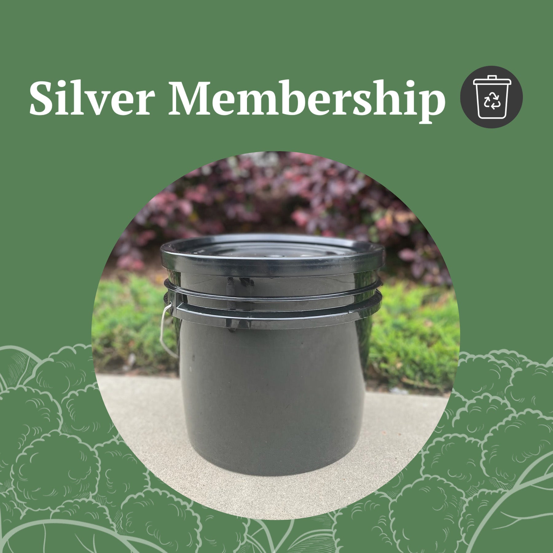Silver Membership